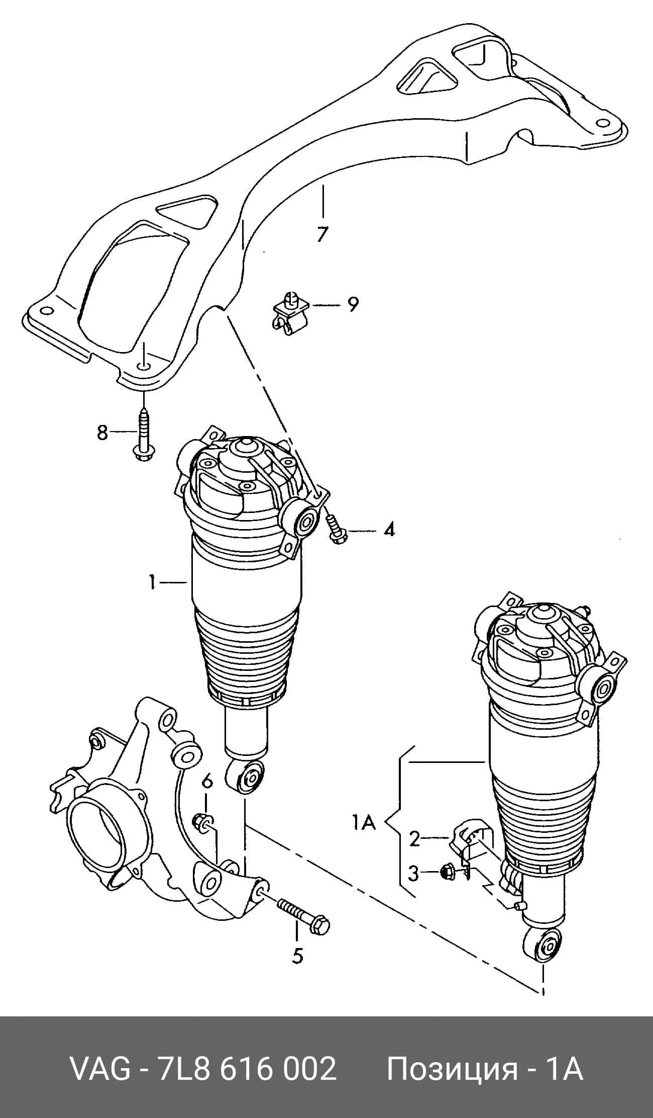 STRUT ASS~Y — Suspension &amp; Frame