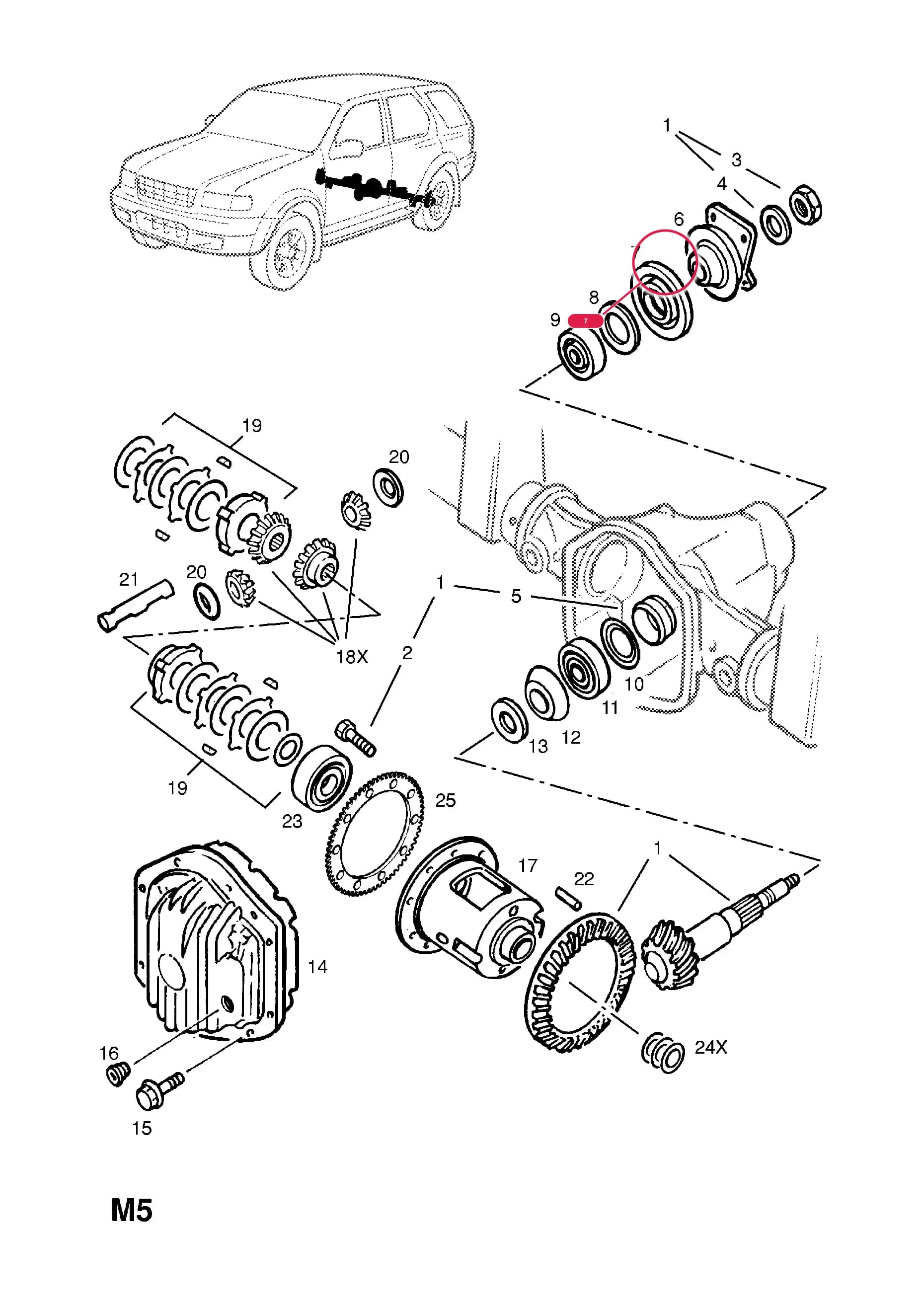SEAL,OIL,PINION — Opel  FRONTERA-B ( 1999 -  2004) — M REAR AXLE AND SUSPENSION › 2 REAR AXLE - WITH LIMITED SLIP DIFFERENTIAL