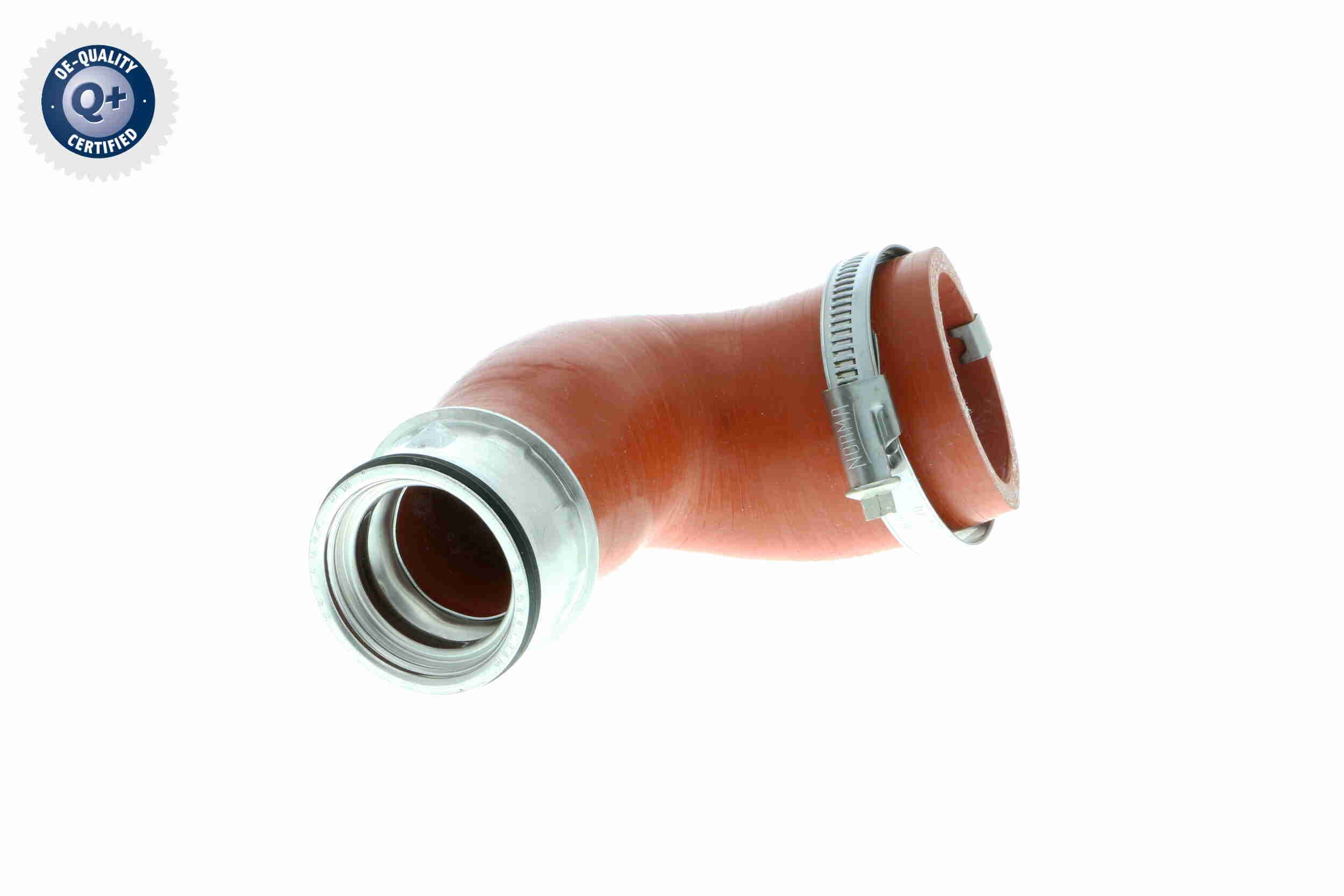 EXPERT KITS + image