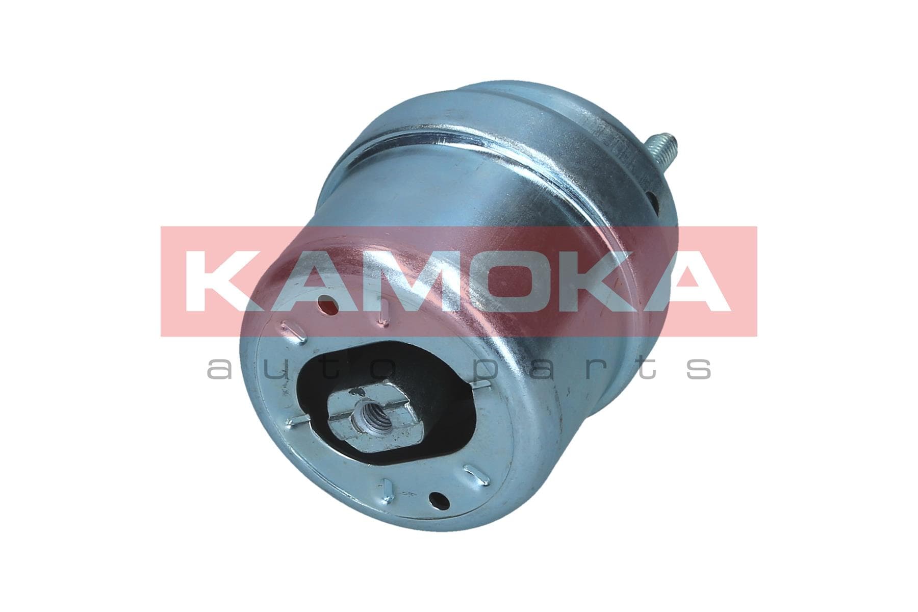 Engine mounting image