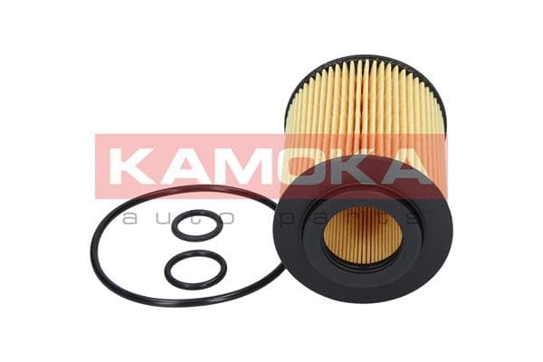 Engine Oil Filter image
