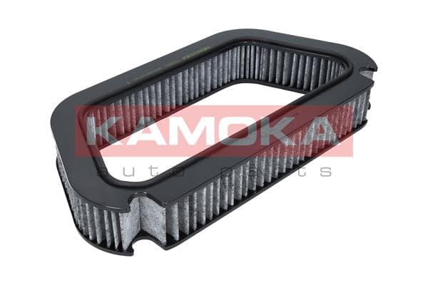 Filter, interior air image