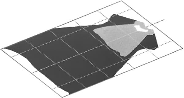 Picador image