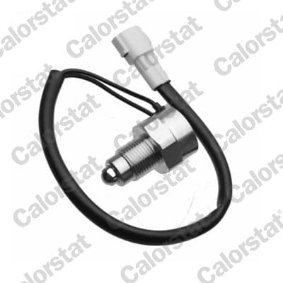 Switch, reverse light — CALORSTAT by Vernet RS5599