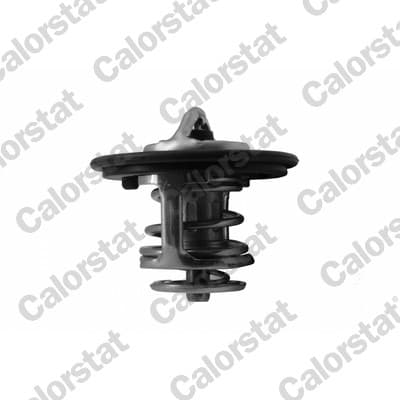 CALORSTAT by Vernet TH7413.82J Engine Thermostat
