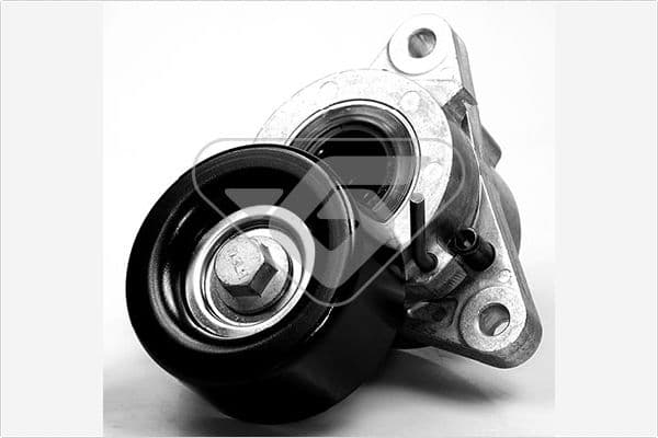 Tensioner Pulley, V-ribbed belt — HUTCHINSON T0058