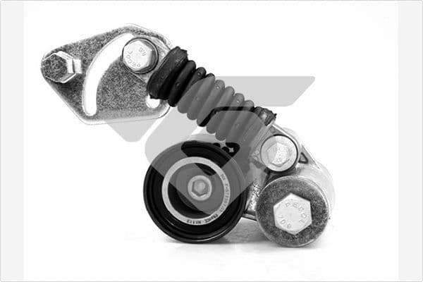 Tensioner Pulley, V-ribbed belt — HUTCHINSON T5014