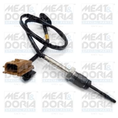 Sensor, exhaust gas temperature — MEAT & DORIA 12019