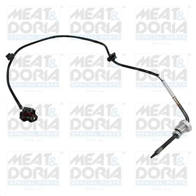 Sensor, exhaust gas temperature — MEAT & DORIA 12067