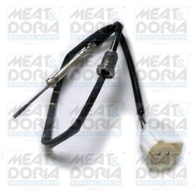 Sensor, exhaust gas temperature — MEAT & DORIA 12171