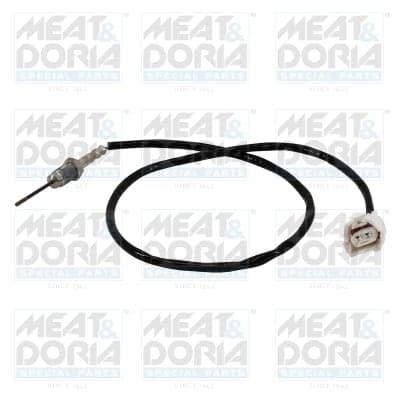 Sensor, exhaust gas temperature — MEAT & DORIA 12477