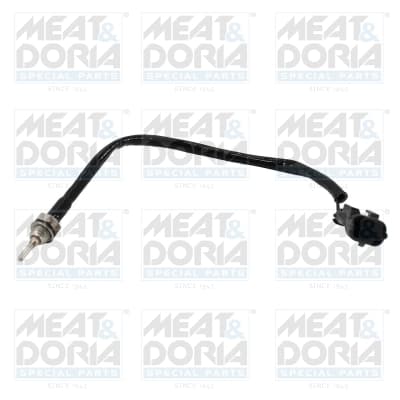 Sensor, exhaust gas temperature — MEAT & DORIA 12636