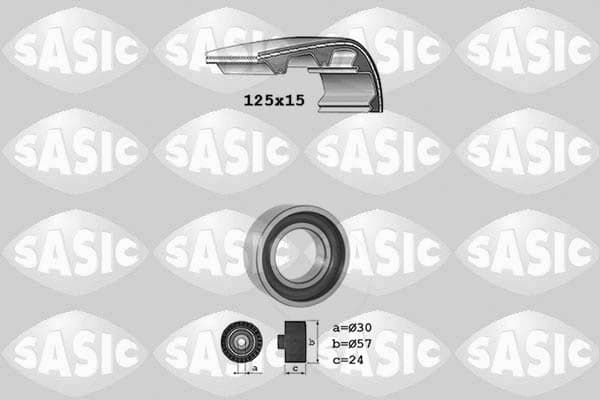 SASIC 1756018 Timing Belt Kit