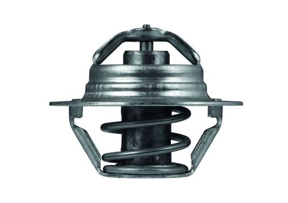 Thermostat, coolant — MAHLE TX 100 89D