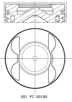 MAHLE 001 PI 00193 000 Piston
