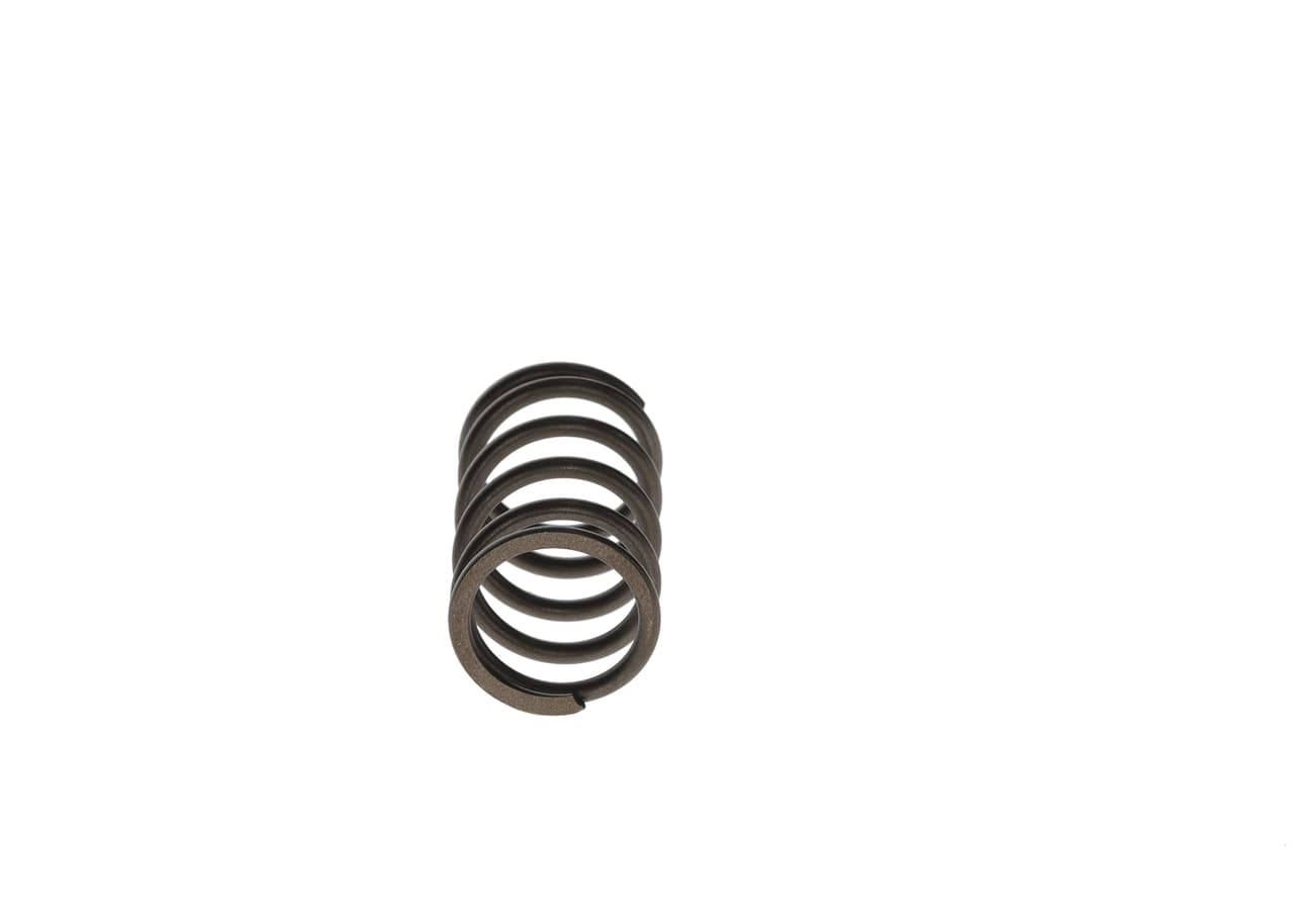 BOSCH F 00R 0P1 447 Coil Spring