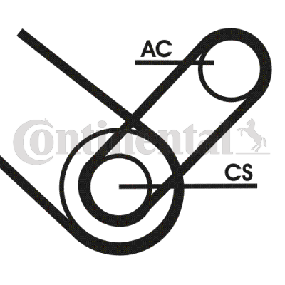 ribbed V belt set image