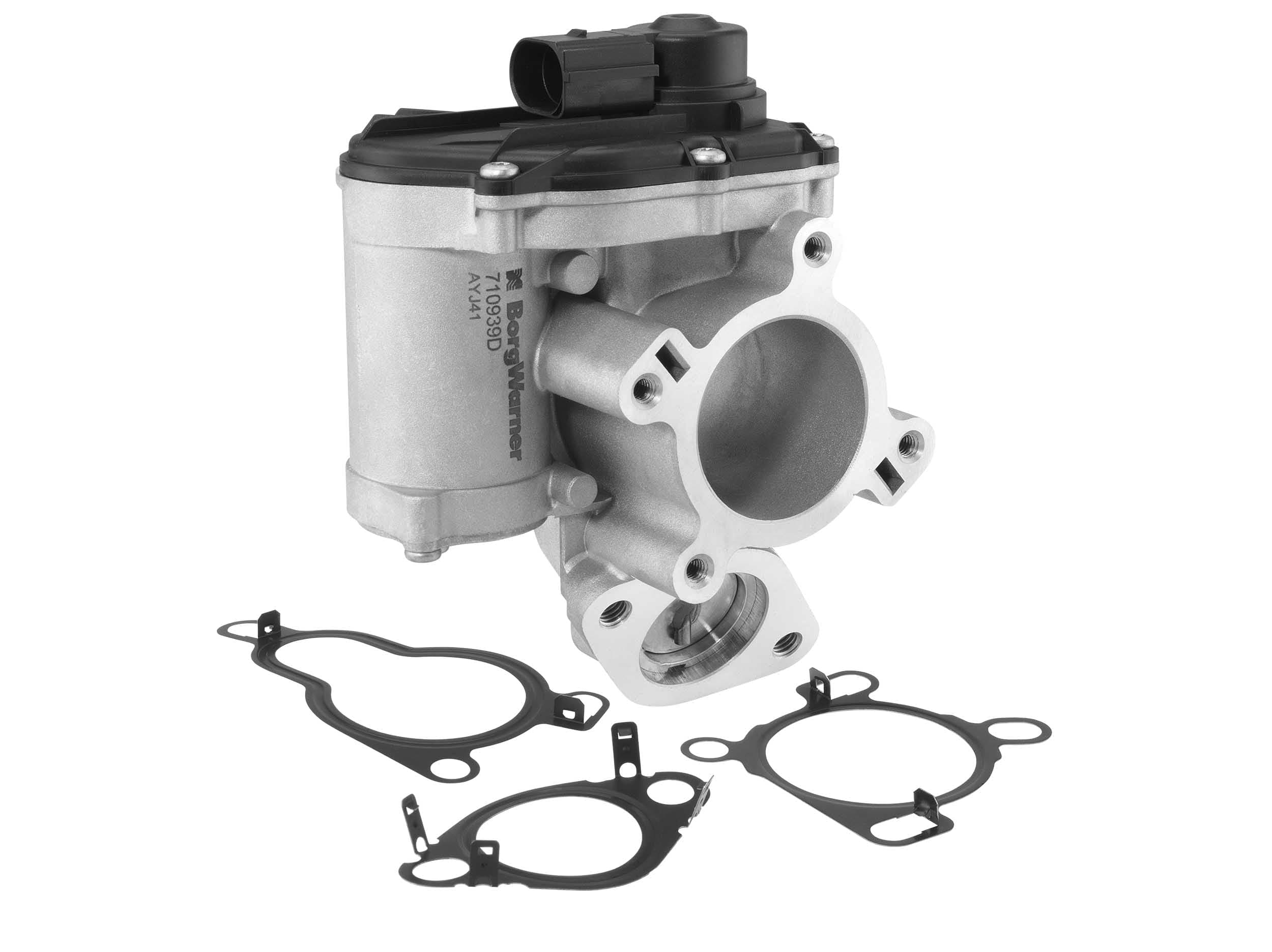 EGR Valve — BorgWarner 710939D