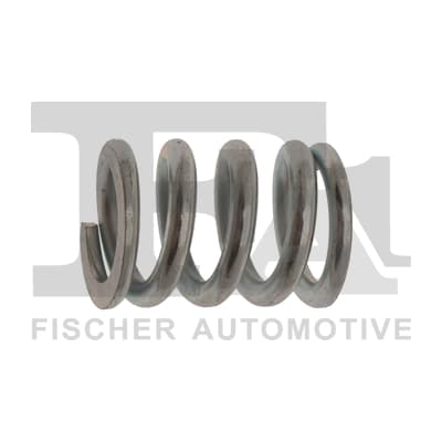 FA1 875-902 Muffler spring