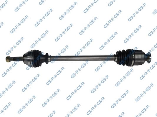 GSP 250117