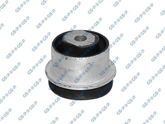 bushing, control/trailing arm — GSP 510867