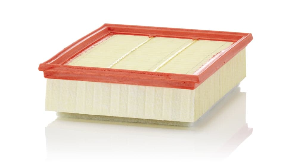 Air cleaner — MANN-FILTER C 25 018