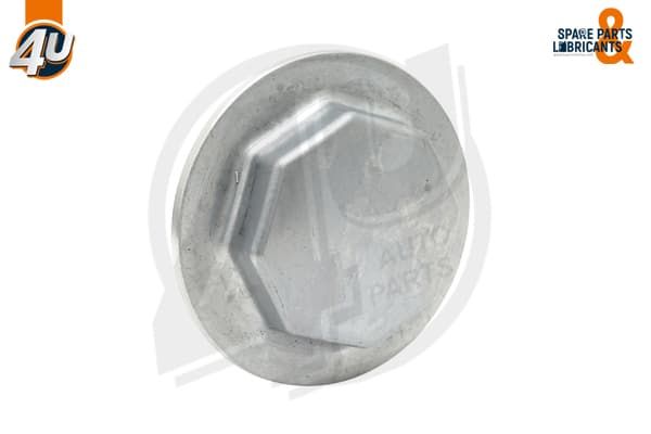 Protection Cover, wheel hub image