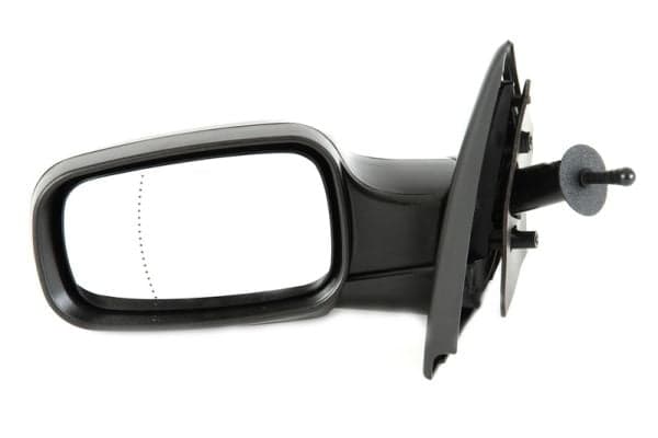 BLIC Side mirror