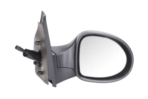 Side mirror — BLIC 5402-09-2002208P