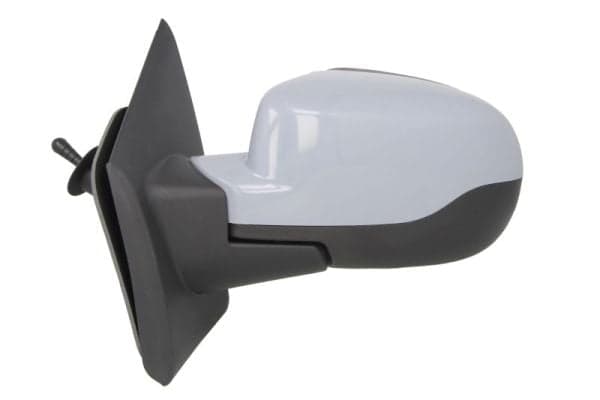 BLIC 5402-09-2002233P Side mirror