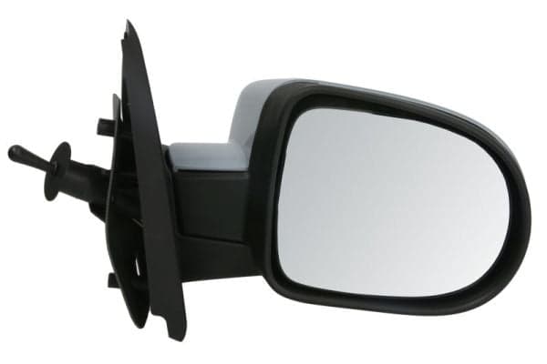 BLIC 5402-09-2002234P Side mirror