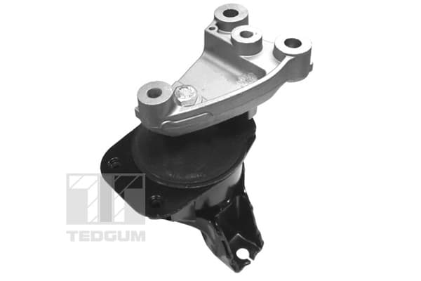 Engine mounting image