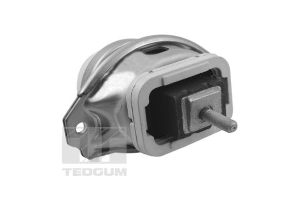 TEDGUM TED44341