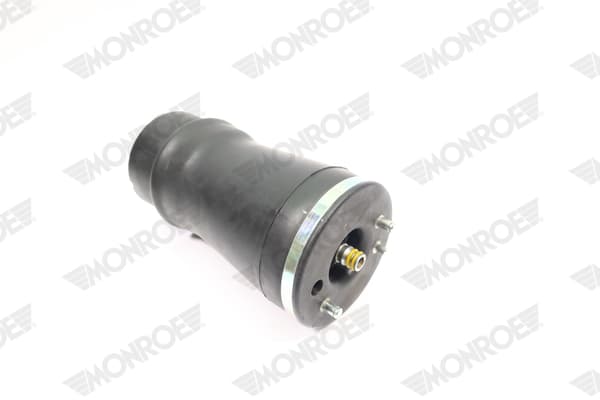 Suspension Air Spring image