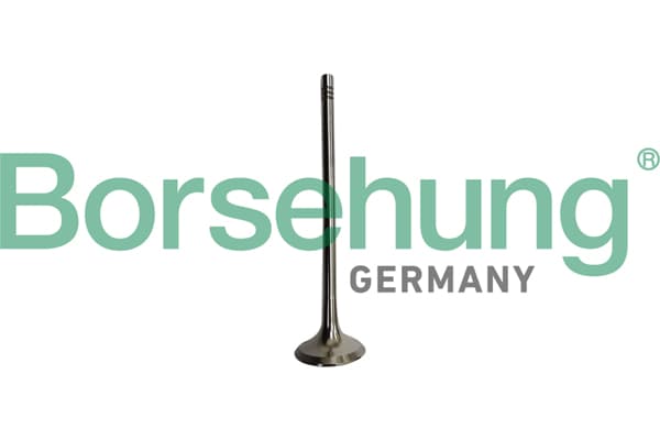 outlet valve — Borsehung B10335