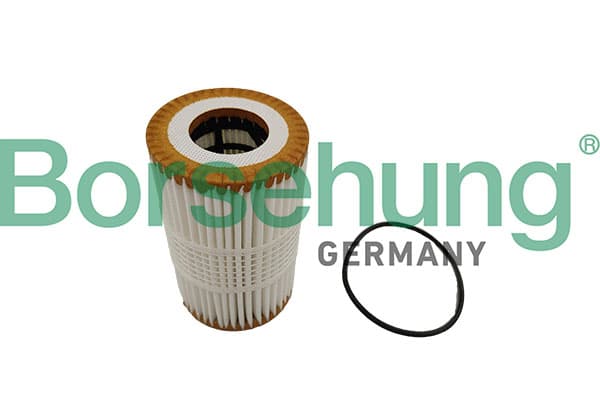 Engine Oil Filter — Borsehung B10448
