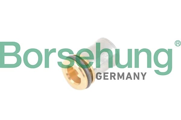 Borsehung B12241 PCV Valve
