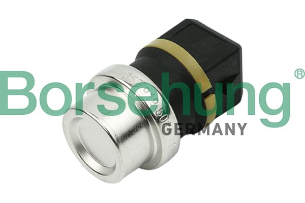 Sensor, coolant temperature — Borsehung B13134