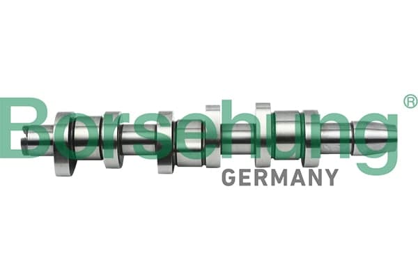 Camshaft — Borsehung B17862