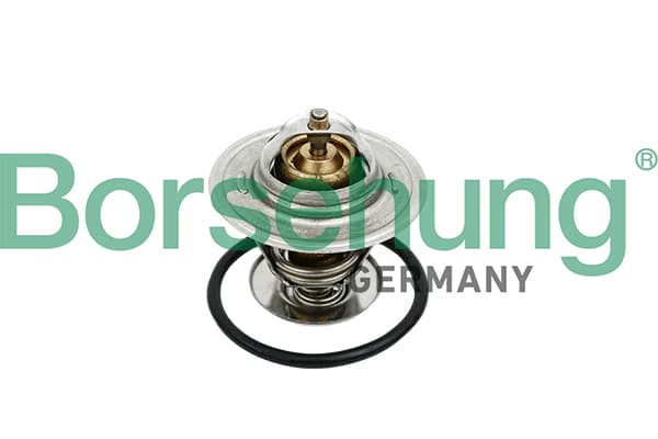 Thermostat, coolant — Borsehung B18259