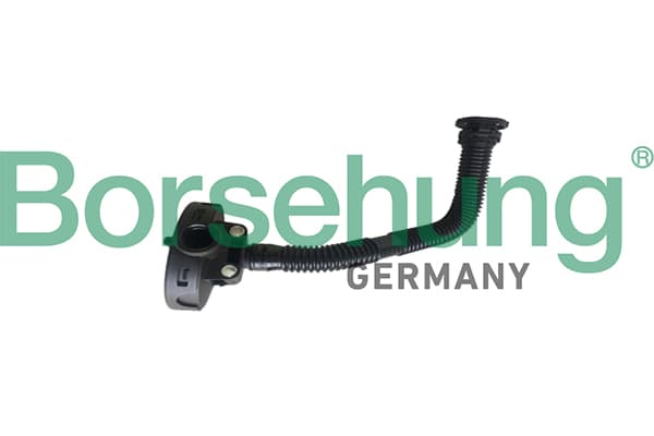 Borsehung B19055 Crankcase ventilation valve