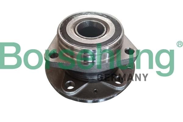 Wheel Bearing Set — Borsehung B19118