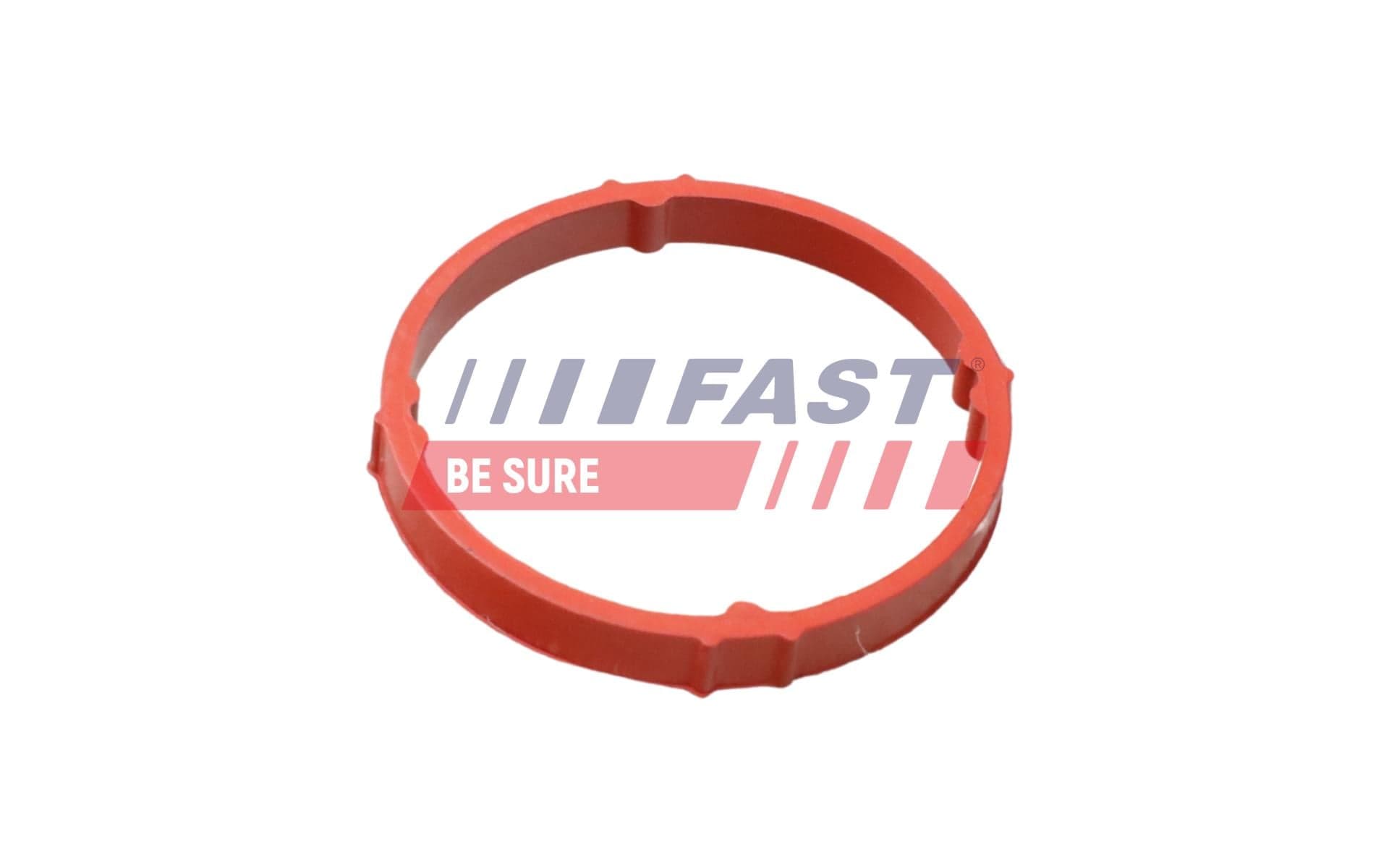 FAST FT48958 Seal Ring