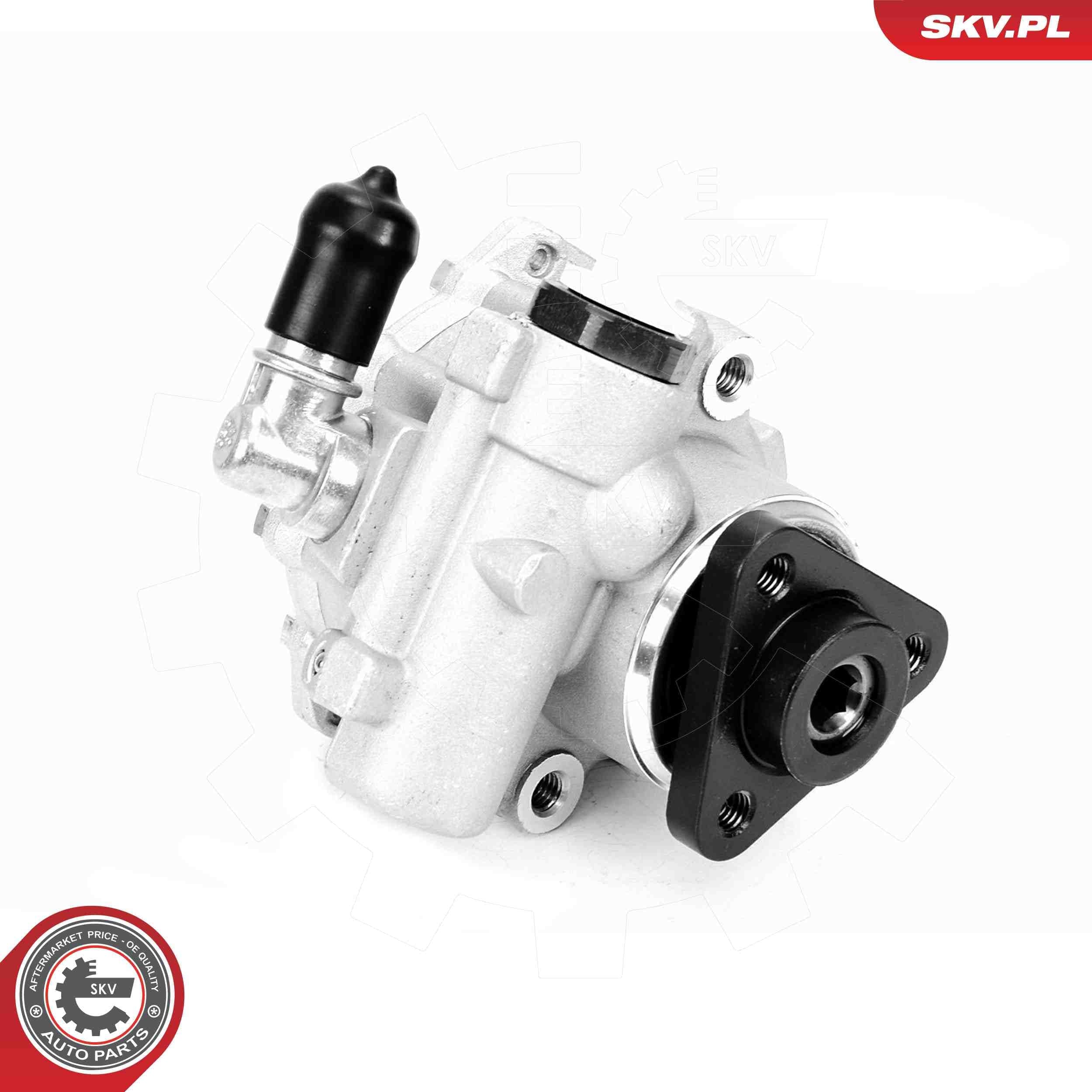 Hydraulic Pump, steering — ESEN SKV 10SKV330