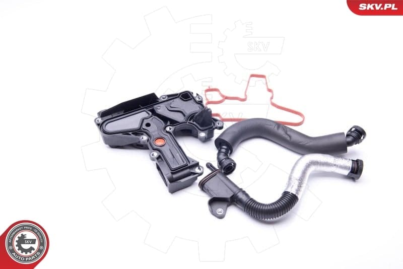 ESEN SKV 31SKV008 Crankcase ventilation repair kit