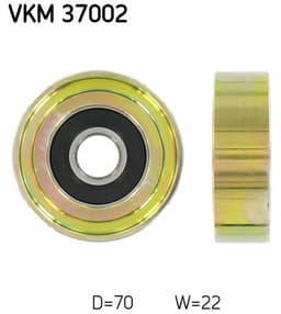 VKM 37002