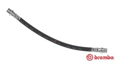 ESSENTIAL LINE image