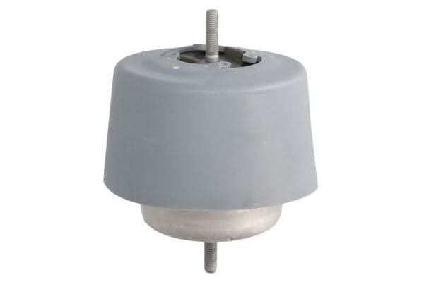 Engine mounting — REINHOCH RH11-0037