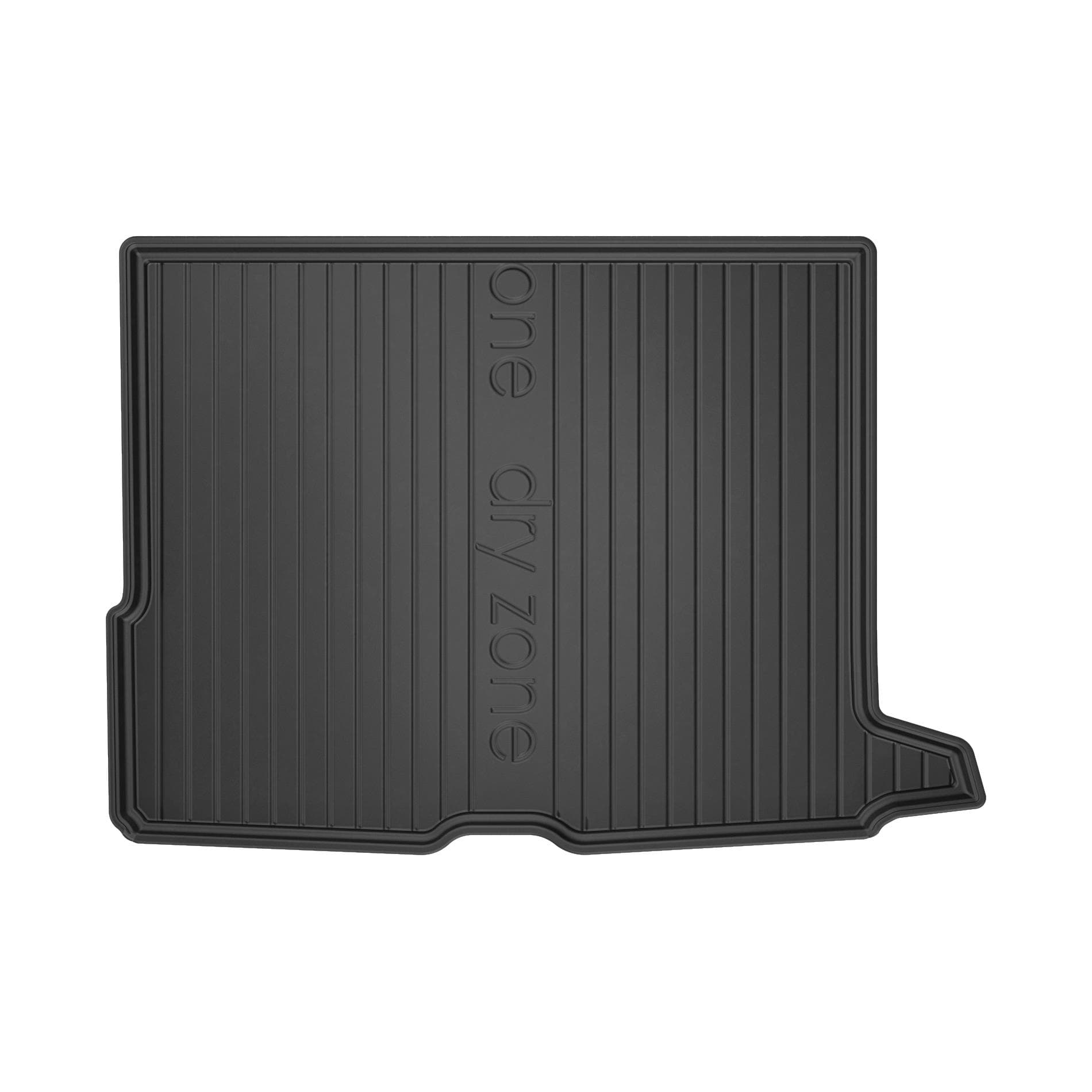 DRYZONE image