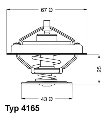 Thermostat, coolant — BorgWarner (Wahler) 4165.79D
